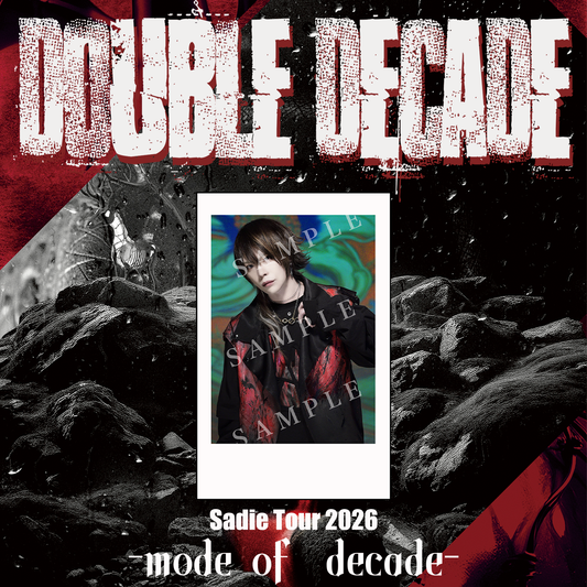 景instax DOUBLE DECADE -mode of decade-
